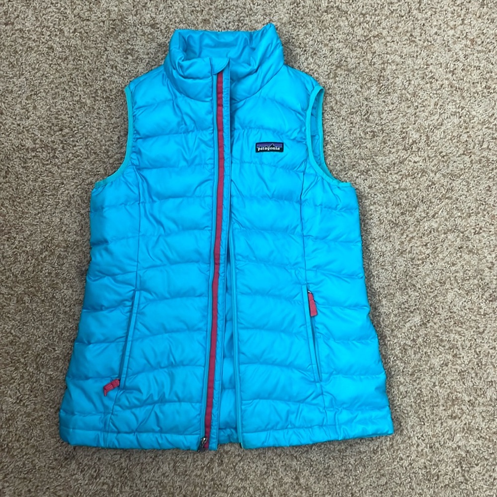 Patagonia blue vest